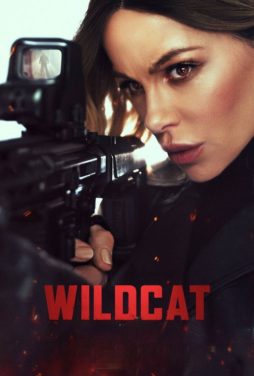 Wildcat 2025