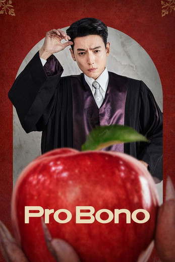 Pro Bono 2025