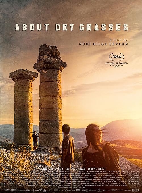 About Dry Grasses 2023