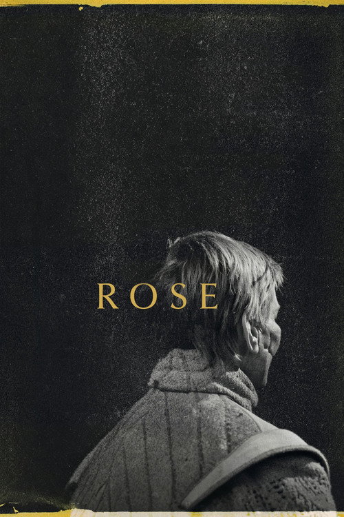 Rose 2026
