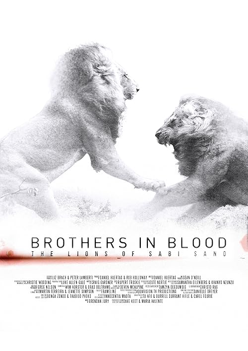 Brothers in Blood: The Lions of Sabi Sand 2015