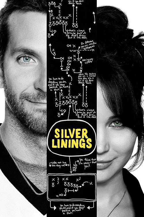 Silver Linings Playbook  2012