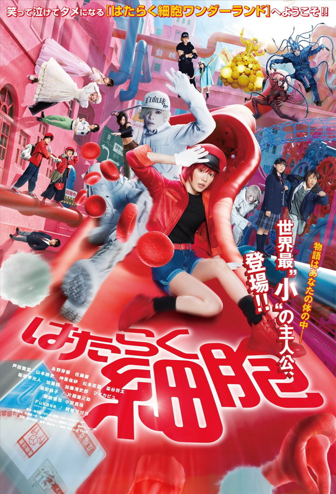 Cells at Work! 2024