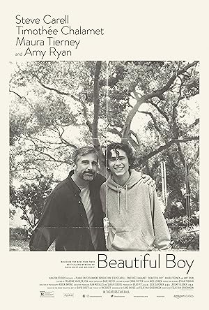 Beautiful Boy 2018